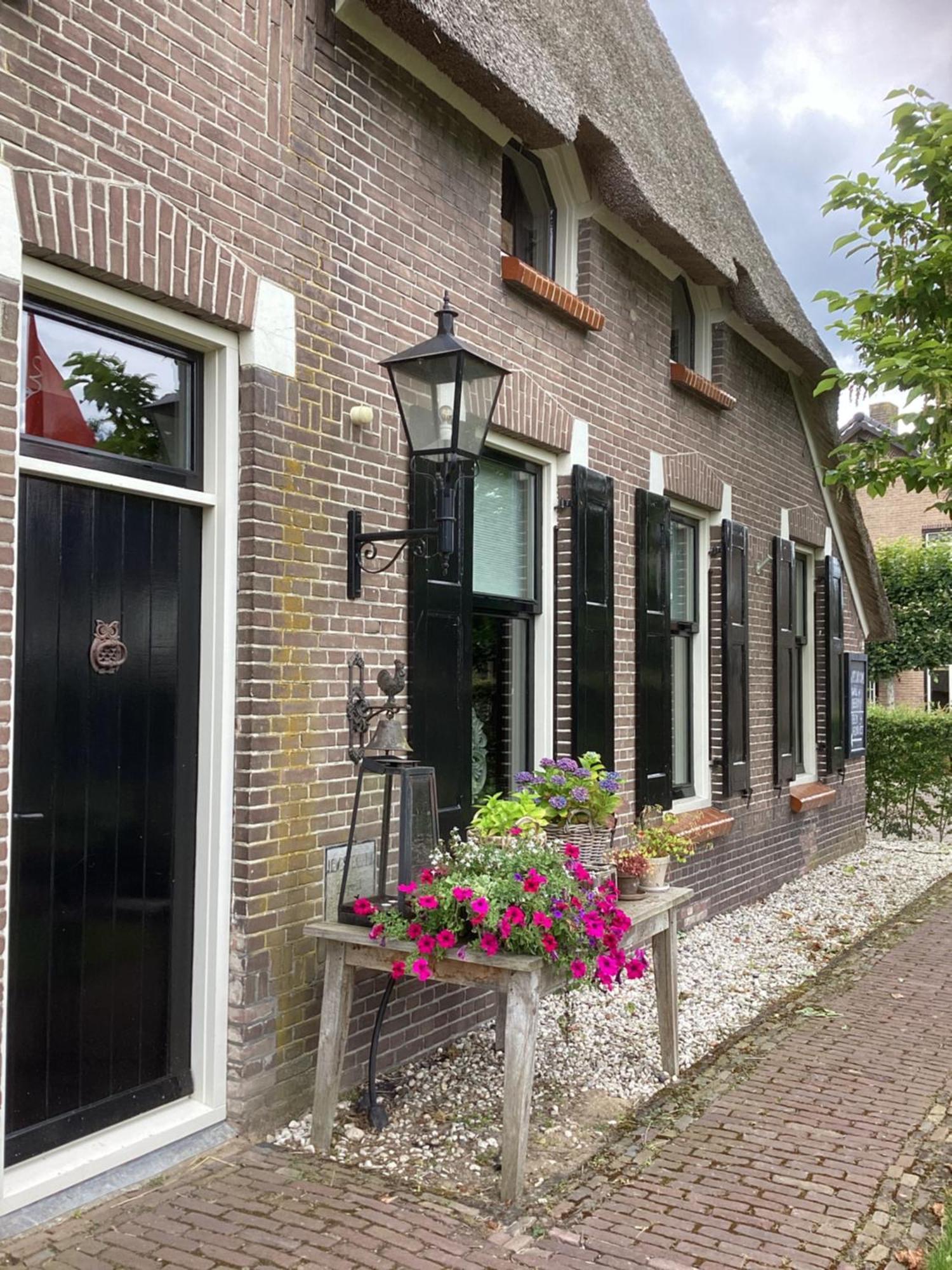 Ruinen B&B De Meidoornhof מראה חיצוני תמונה