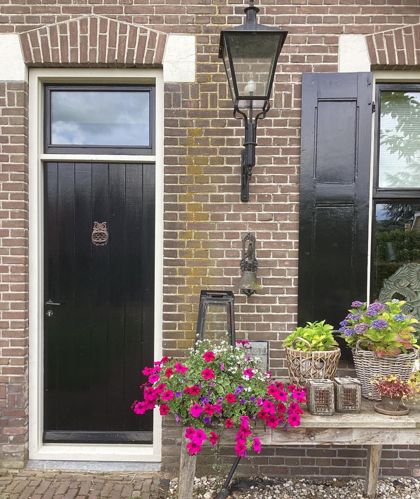 Ruinen B&B De Meidoornhof מראה חיצוני תמונה