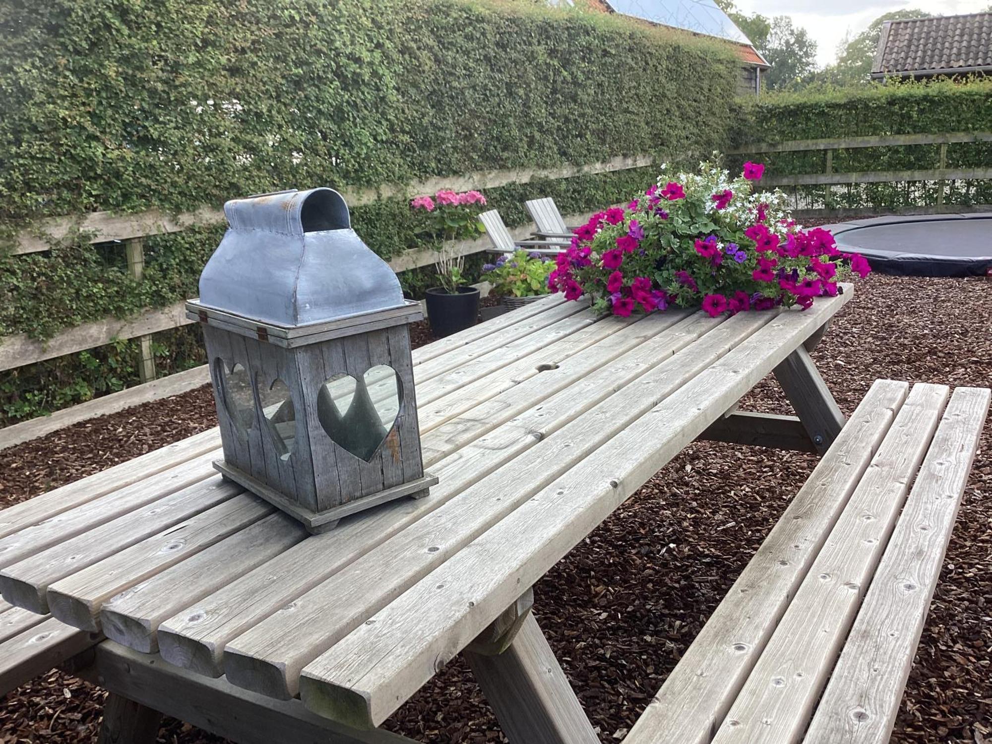 Ruinen B&B De Meidoornhof מראה חיצוני תמונה